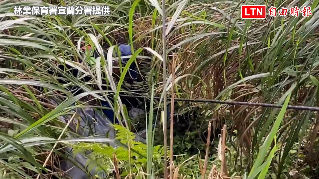 宜蘭太平山遊客亂丟便當及空盒畫面曝光 網友飆罵直接開罰(林業保育署宜蘭分署提供)