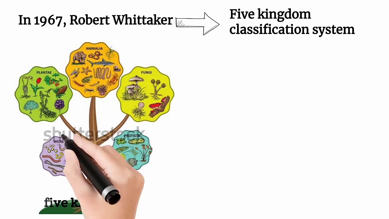 five kingdom classification class 9 in Urdu / in Hindi | Lec #7 | Biodiversity | chp #3