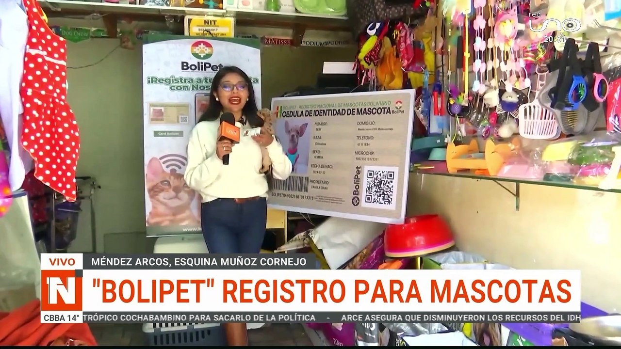 REGISTRO DE MASCOTAS