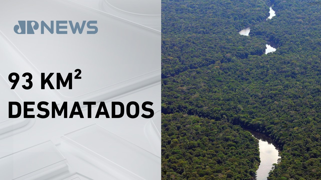 Amazônia tem primeiro semestre com menor desmatamento em 10 anos