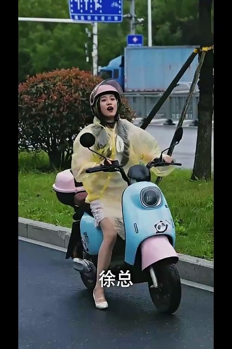 最新熱門短劇【窈窕淑女君總好逑】下