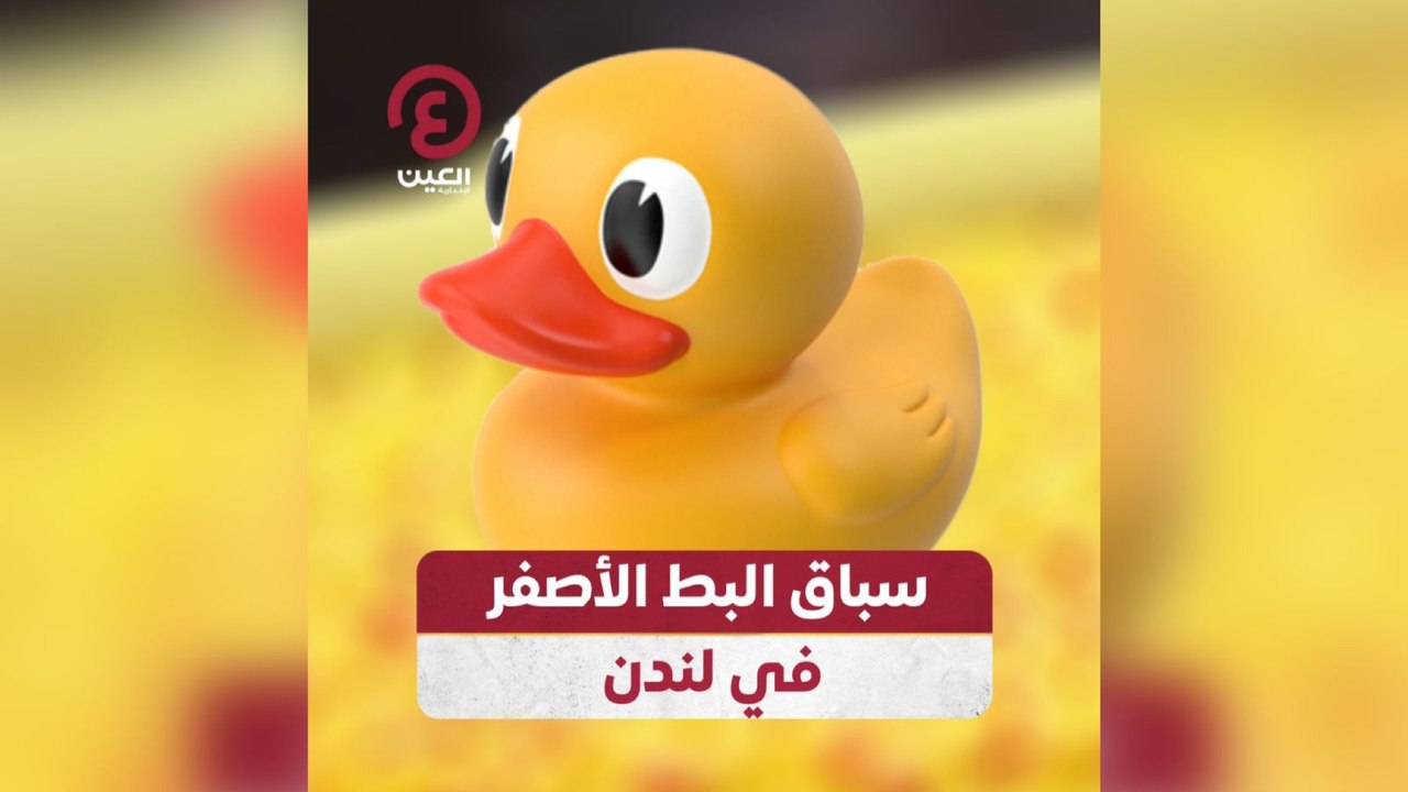 سباق البط الأصفر في لندن