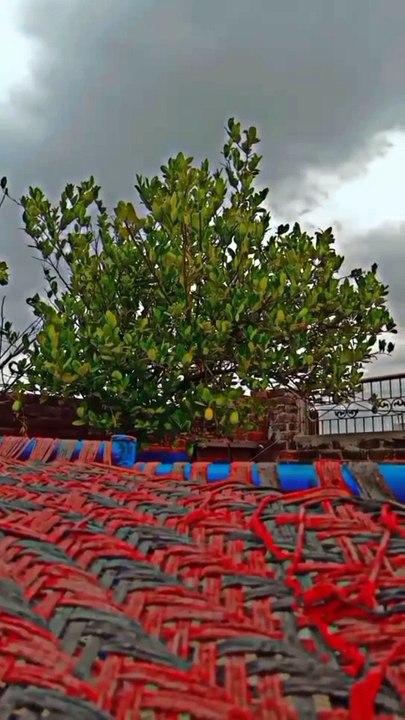 status video #video#video