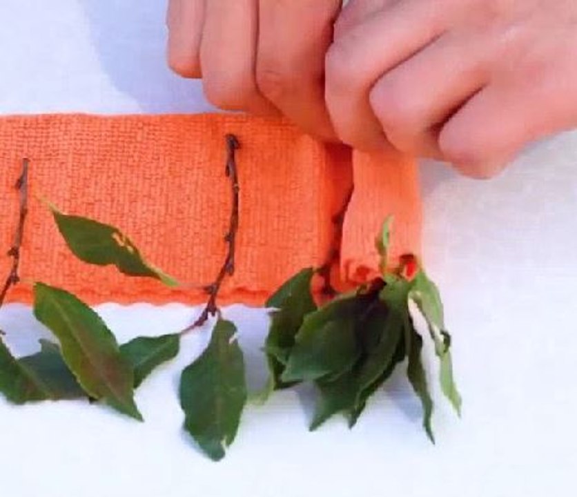 Inventive ways to grow a thriving garden!