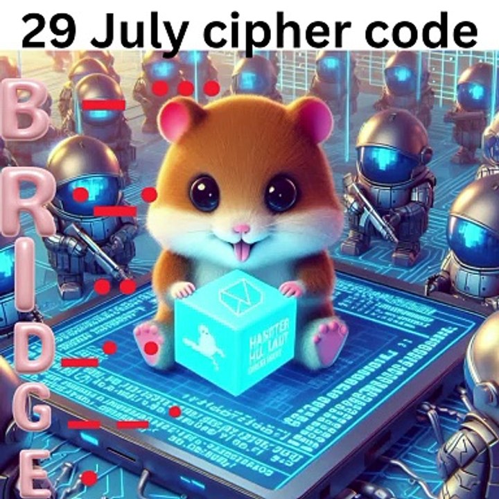 29 July cipher code hamster combat