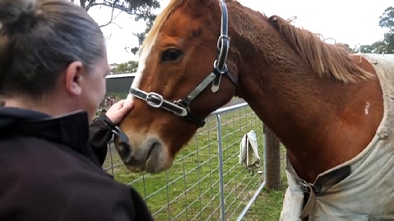 Calls to investigate how VIC racing body is spending money