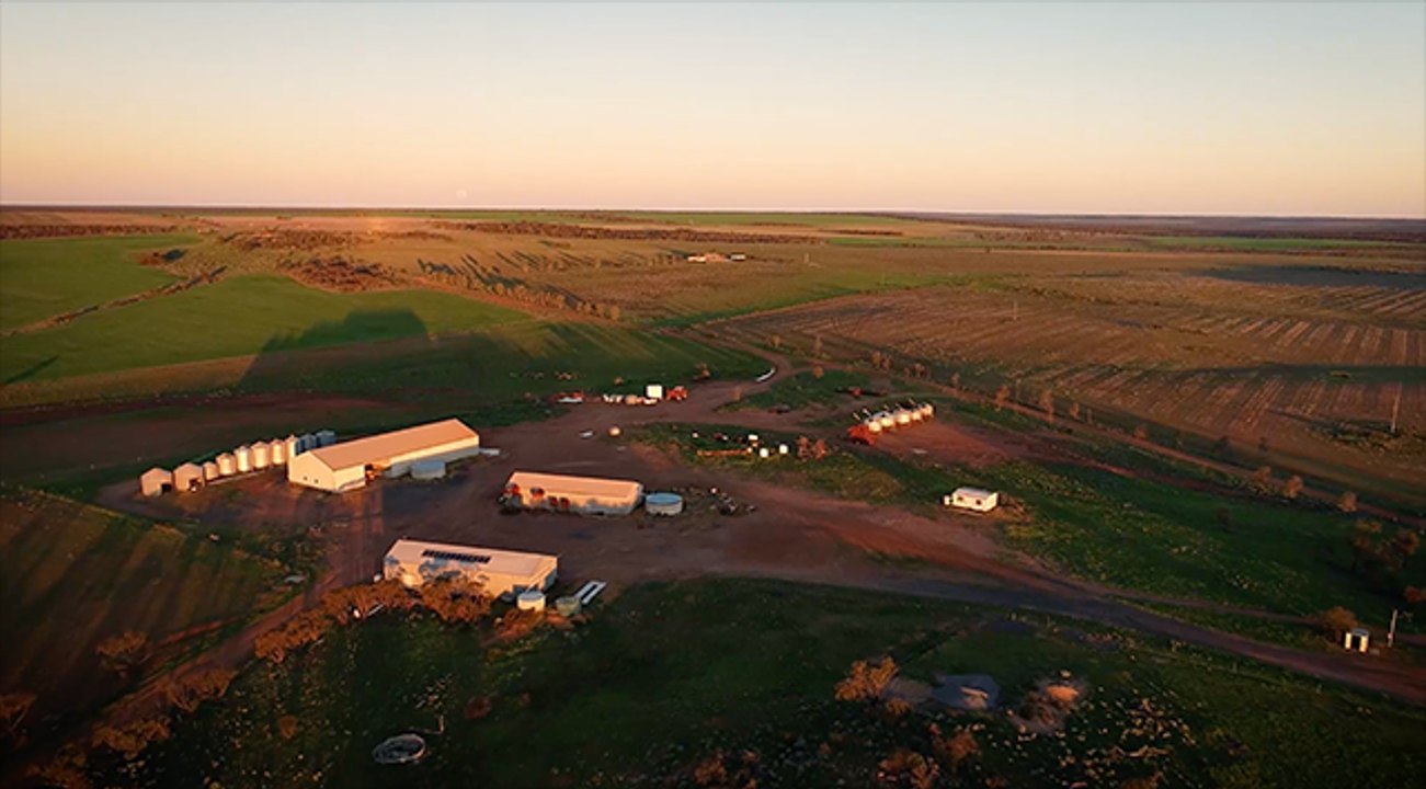 Mary Springs Farm | Farm Weekly