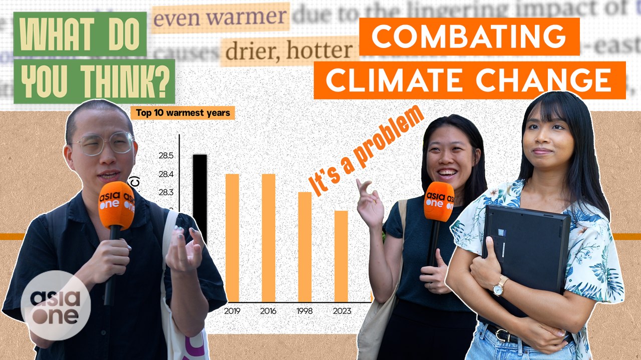 Are Singaporeans eco-friendly? | What Do You Think?