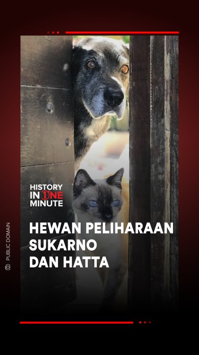 Hewan Peliharaan Sukarno dan Hatta