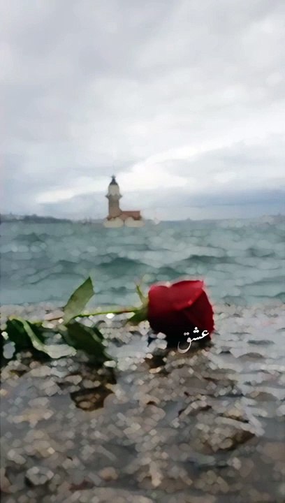 Letest Hindi Romantic songs 2024 !! New Hindi songs 2024 !! song Love song #status #love