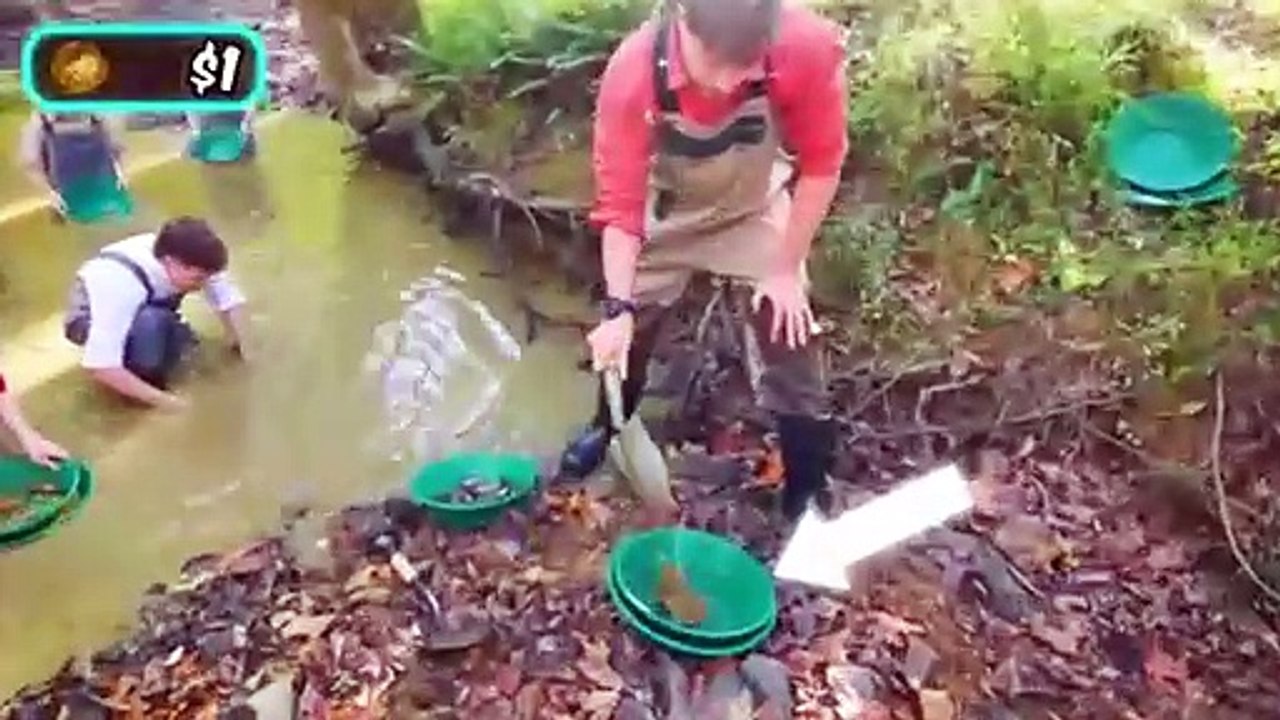 1 vs 10000000 Job In Hindi mrbeast hindi new video MrBeast