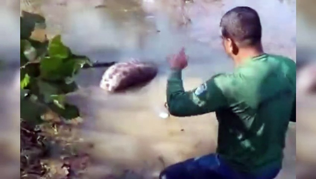 Sucuri de 5 metros é encontrada fazendo digestão em rio de MT