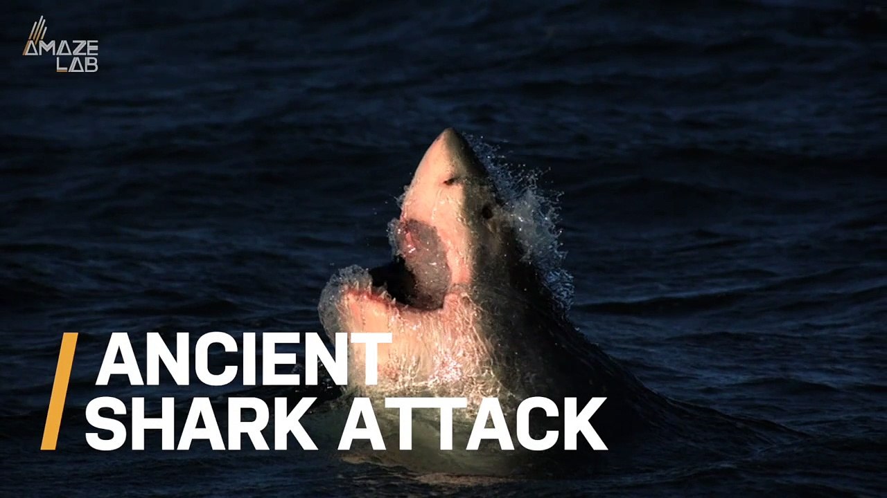 Is This Evidence Of One of the Earliest Known Shark Attacks?