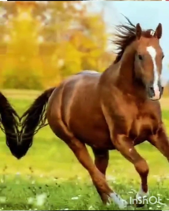 Naat sharif, new naat sharif, naat New, naat New, naat naat, viral video, naat viral, New Naate pak, Islamic naat, naat