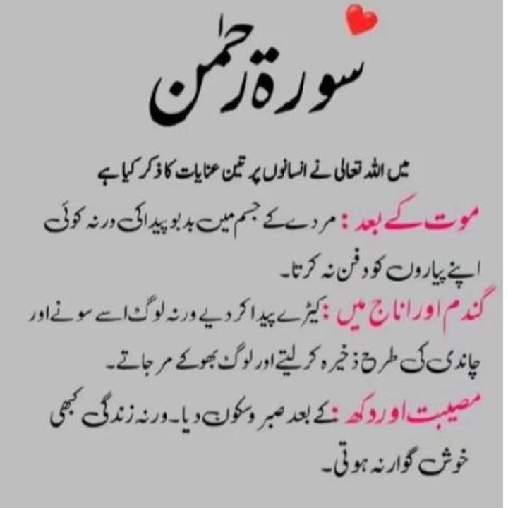 Viral Shot: Catch the Trending Moment