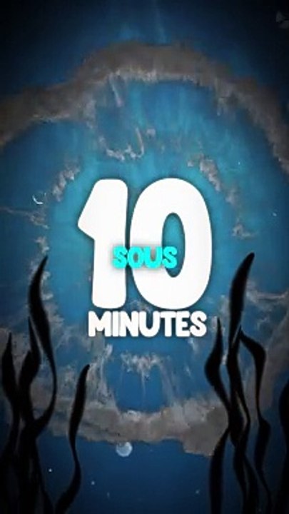 Comment les dauphins font pour dormir ?