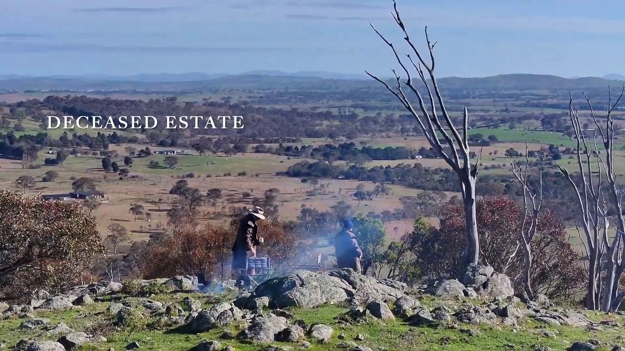 Real estate video for Runnymede estate