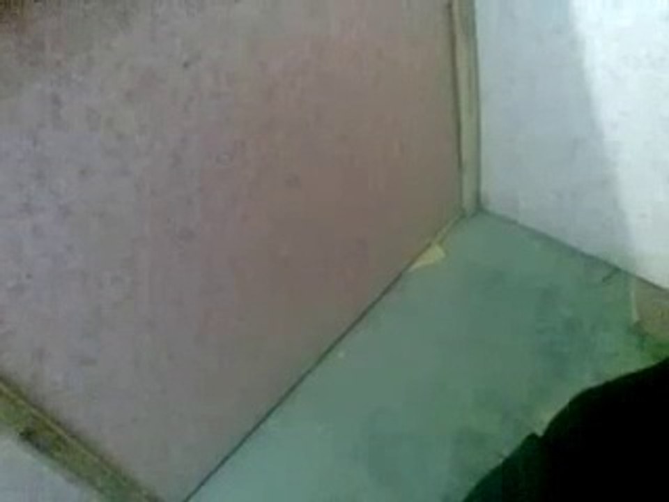 Pakistani sex video viral