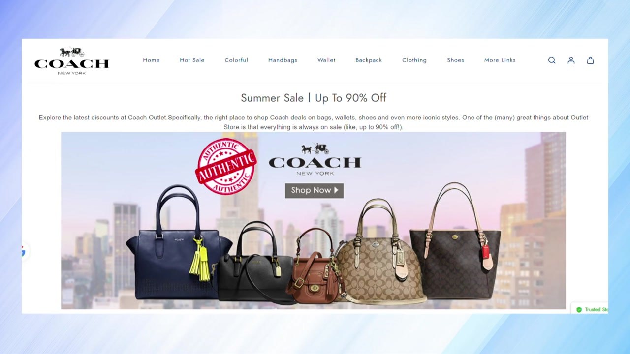 소비자원 "패션 브랜드 '코치' 사칭 쇼핑몰 주의" / YTN