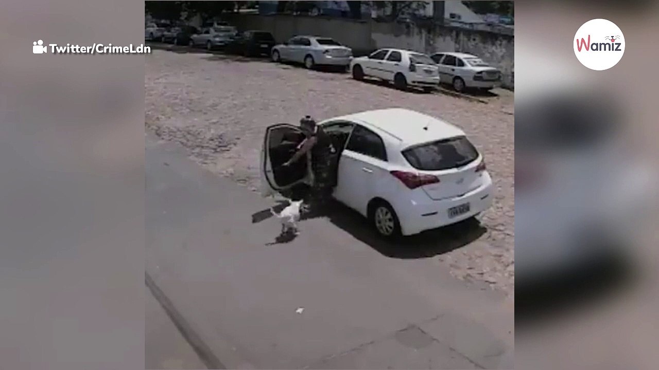 Próbują pozbyć się swojego psa 2 razy w ciągu jednego dnia, ale sprawy nabierają niespodziewanego obrotu