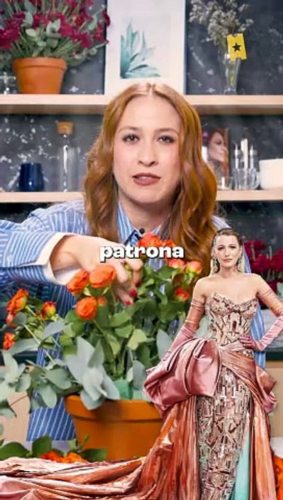 'Romper el círculo' - Palomazo