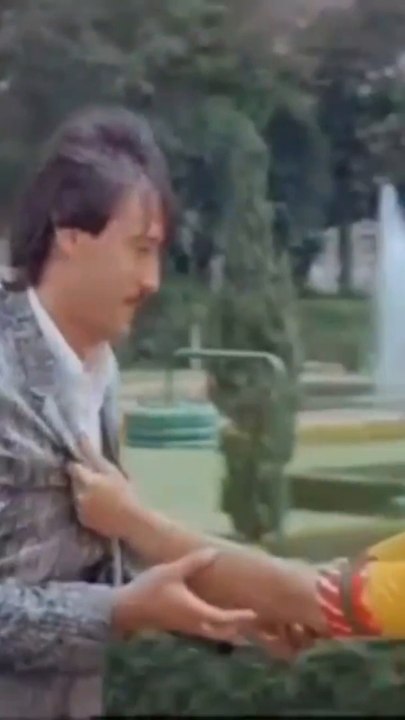 Timeless Classics: Evergreen Short Songs You’ll Love 🎶