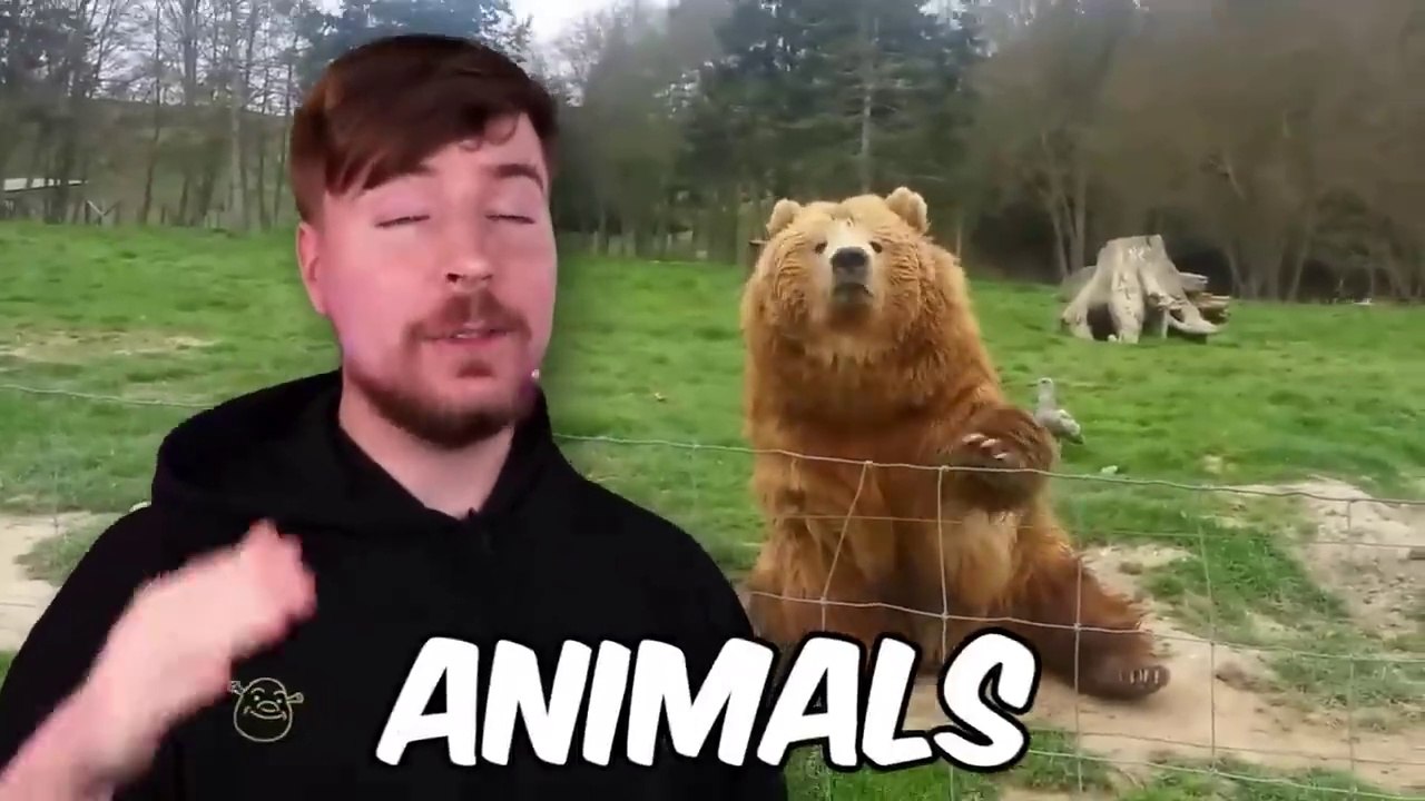 World's Cutest Animals!