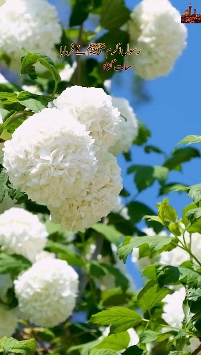 What are some bitter truths of life?