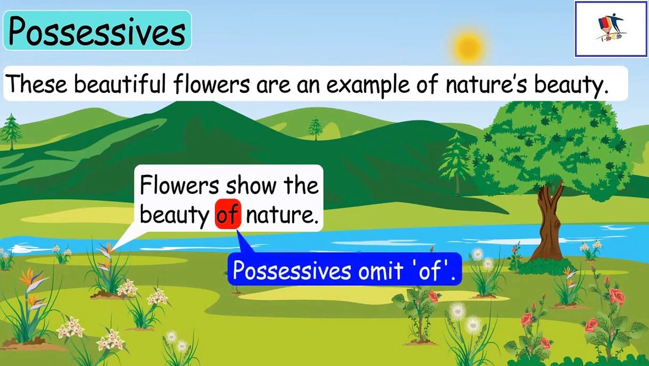 Possessive Adjective And It's Types