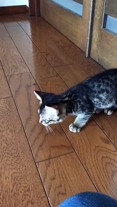 2024-07-08 12.14.17　生後6.1週間