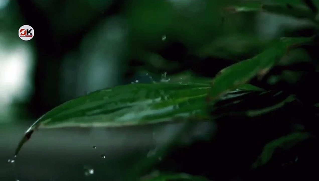 Beauty Of Nature Whatsapp Status -- Relaxing Instrumental Silent Song Status