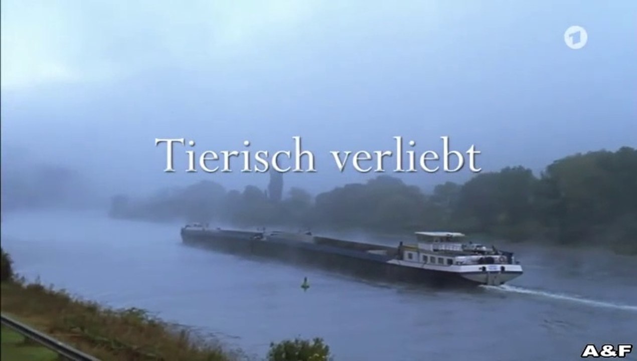 Tierisch verliebt