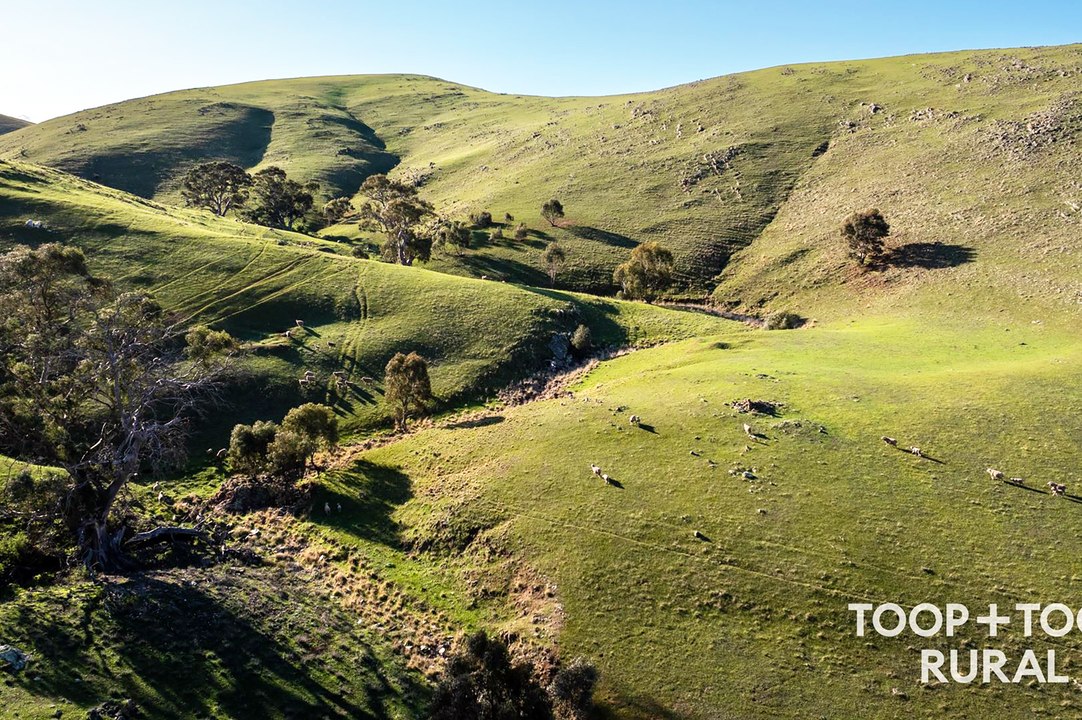 Three Chain Road, Sanderston | August 15, 2024 | Farmonline