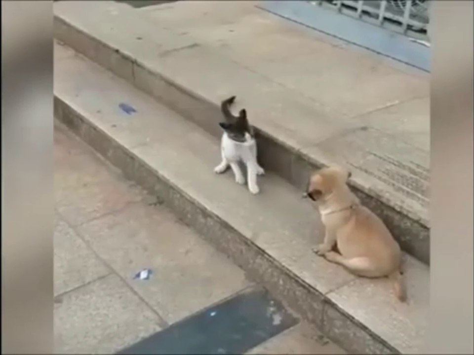 petualangan lucu dan seru