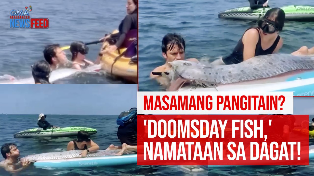 Masamang pangitain? 'Doomsday fish,' namataan sa dagat! | GMA Integrated Newsfeed