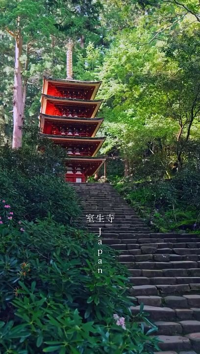 NARA JAPAN  #japan #japantravel