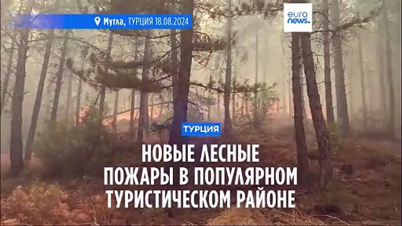 Новые пожары в районе Турецкой Ривьеры