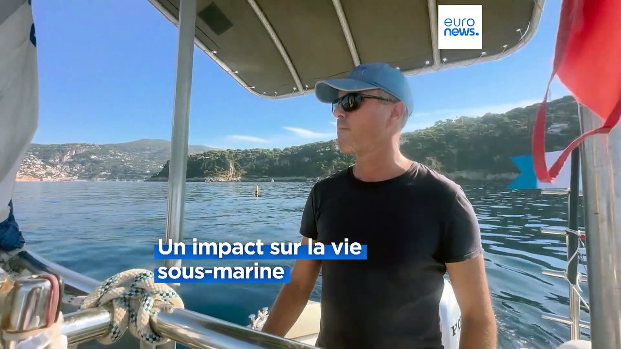 Températures record en mer Méditerranée : des effets dévastateurs