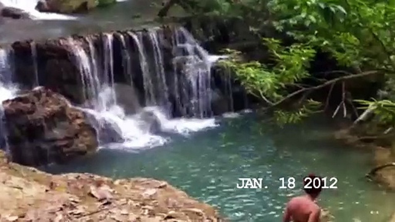 Survivor Type | movie | 2012 | Official Teaser