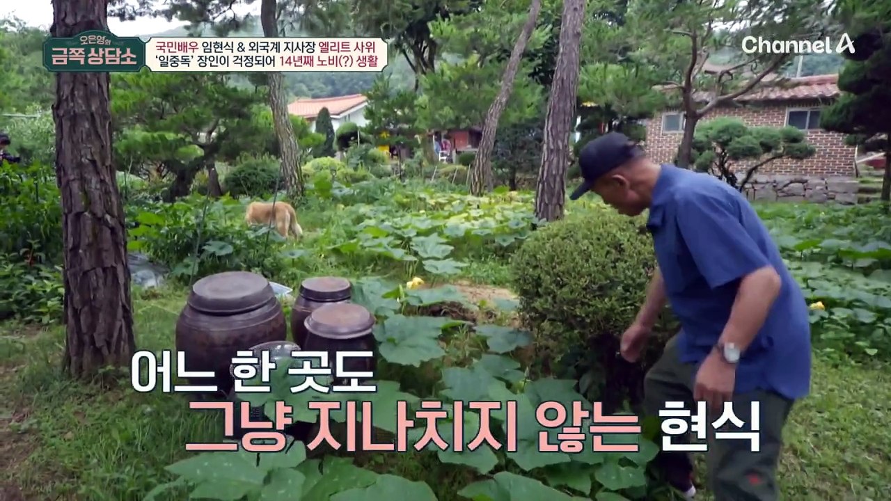 [#금쪽상담소] 아내 장례식 중에도 일을 포기 못한 일중독 임현식