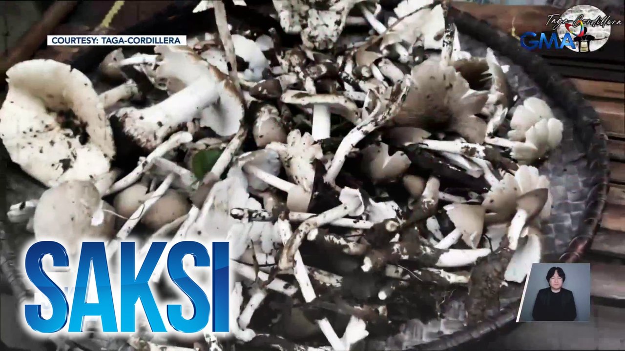 Saksi: (Part 3) Wild mushroom season; US elections; Carla Abellana, naospital