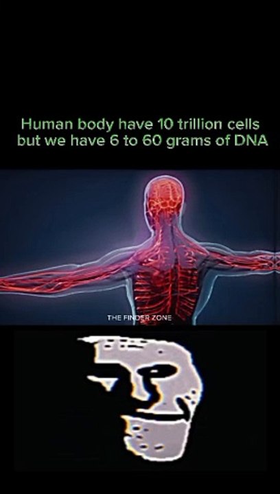 Discover The Finder Zone! 🔍