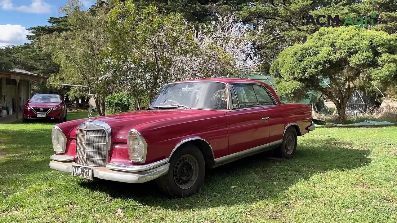 Clearing sale | Stock & Land