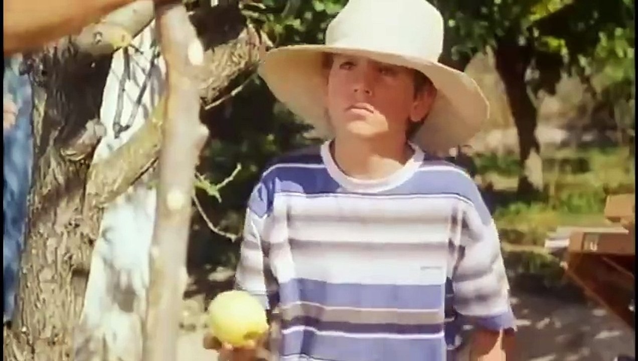 Little Bird (1997) _ Movie Explained In Hindi(480P)