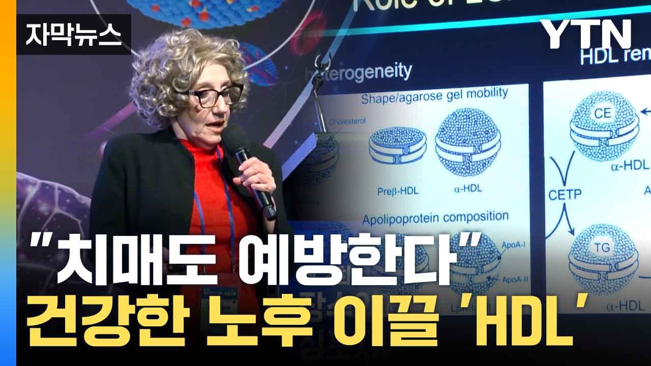 [자막뉴스] 심혈관질환·치매 예방하는 '효자 콜레스테롤' HDL 심포지엄 개최 / YTN
