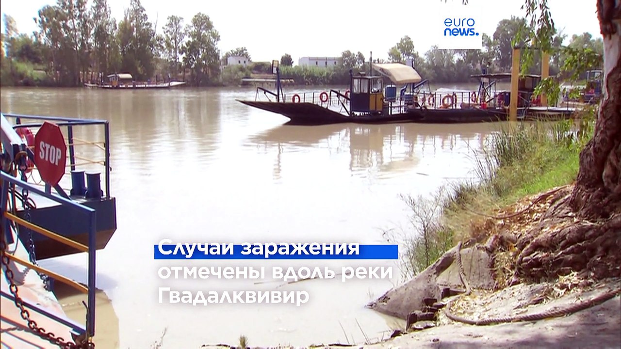 Новые смерти от лихорадки Западного Нила