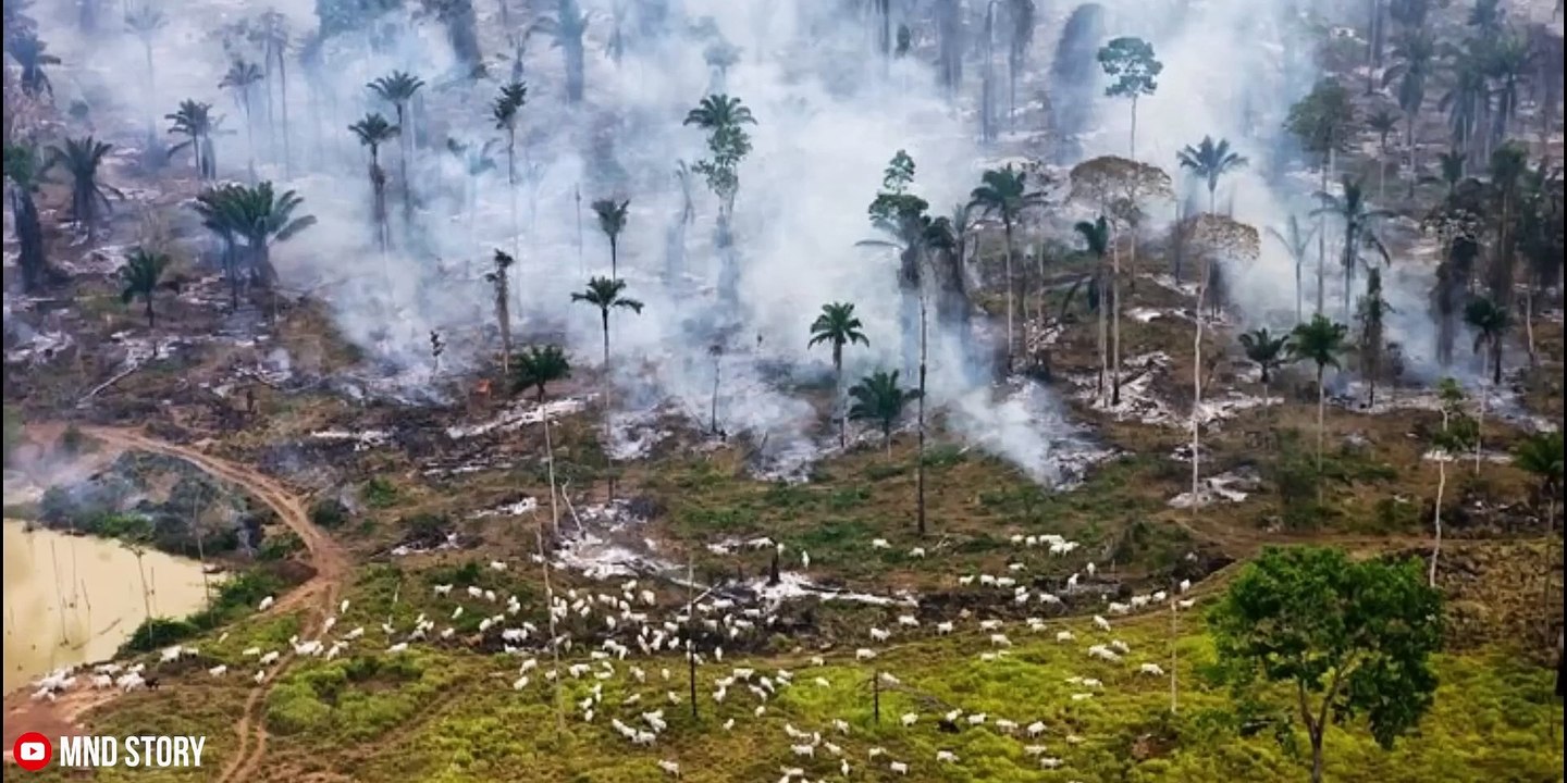 City of Ember (2008)  Movie Explained in Bangla