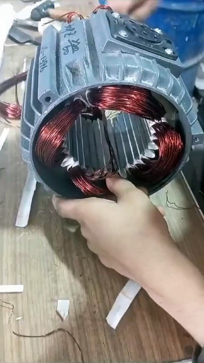 Self electric motor