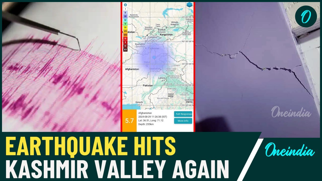 Kashmir Earthquake: Baramulla Jolted By 5.2 Magnitude, No Signs of Damage or Injuries| Watch