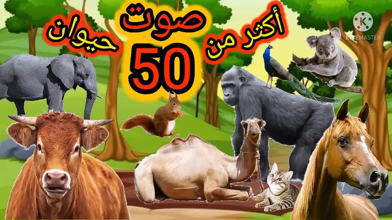اصوات الحيوانات أكثر من 50 حيوان - حيوانات الغابه و المزرعه - جميع الحيوانات للاطفال - #animals
